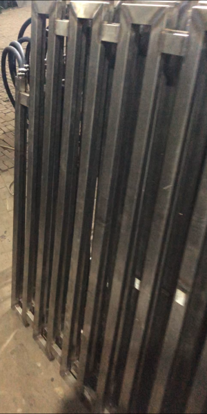 WS